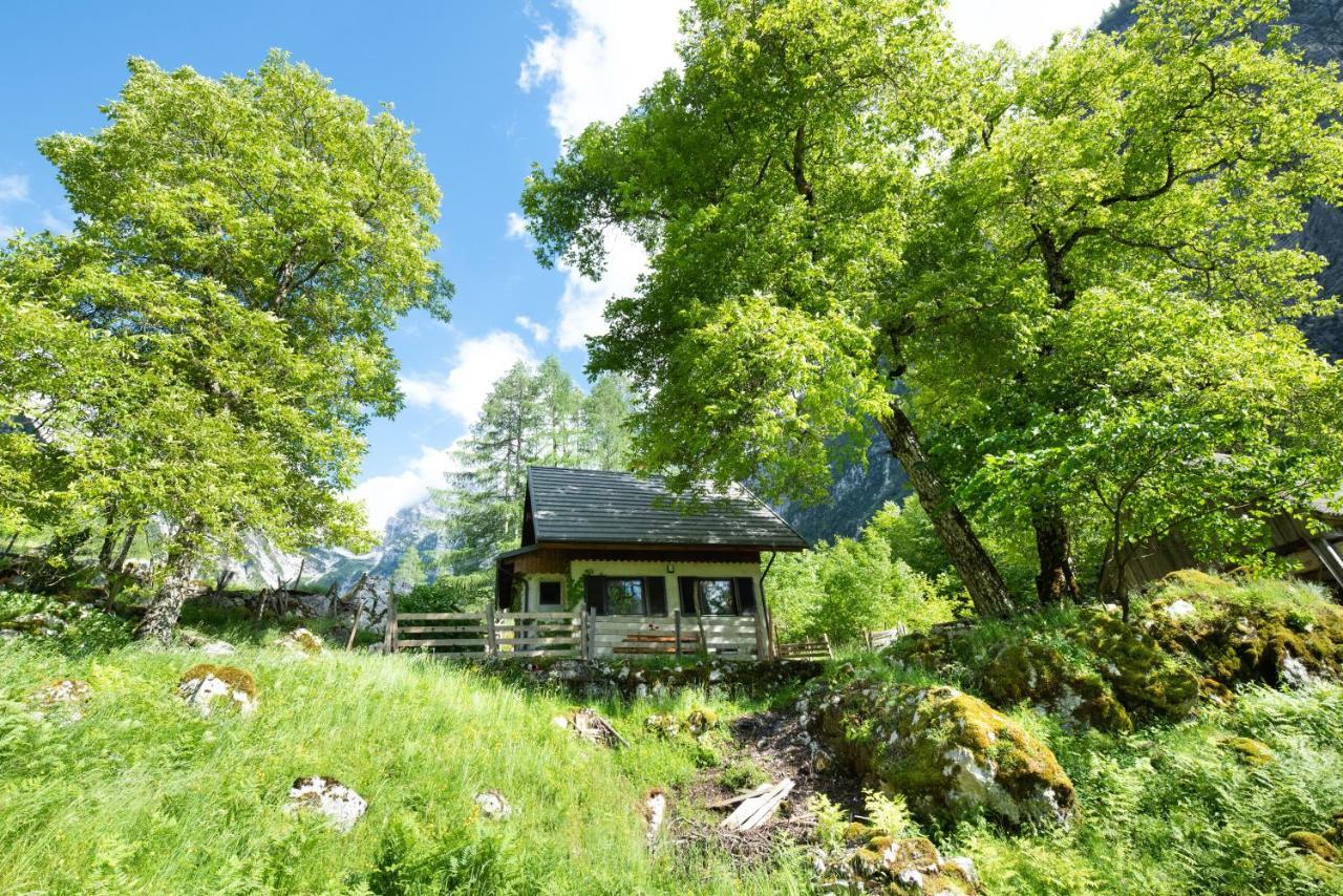 트렌타 Alpine House Antonia 빌라 외부 사진