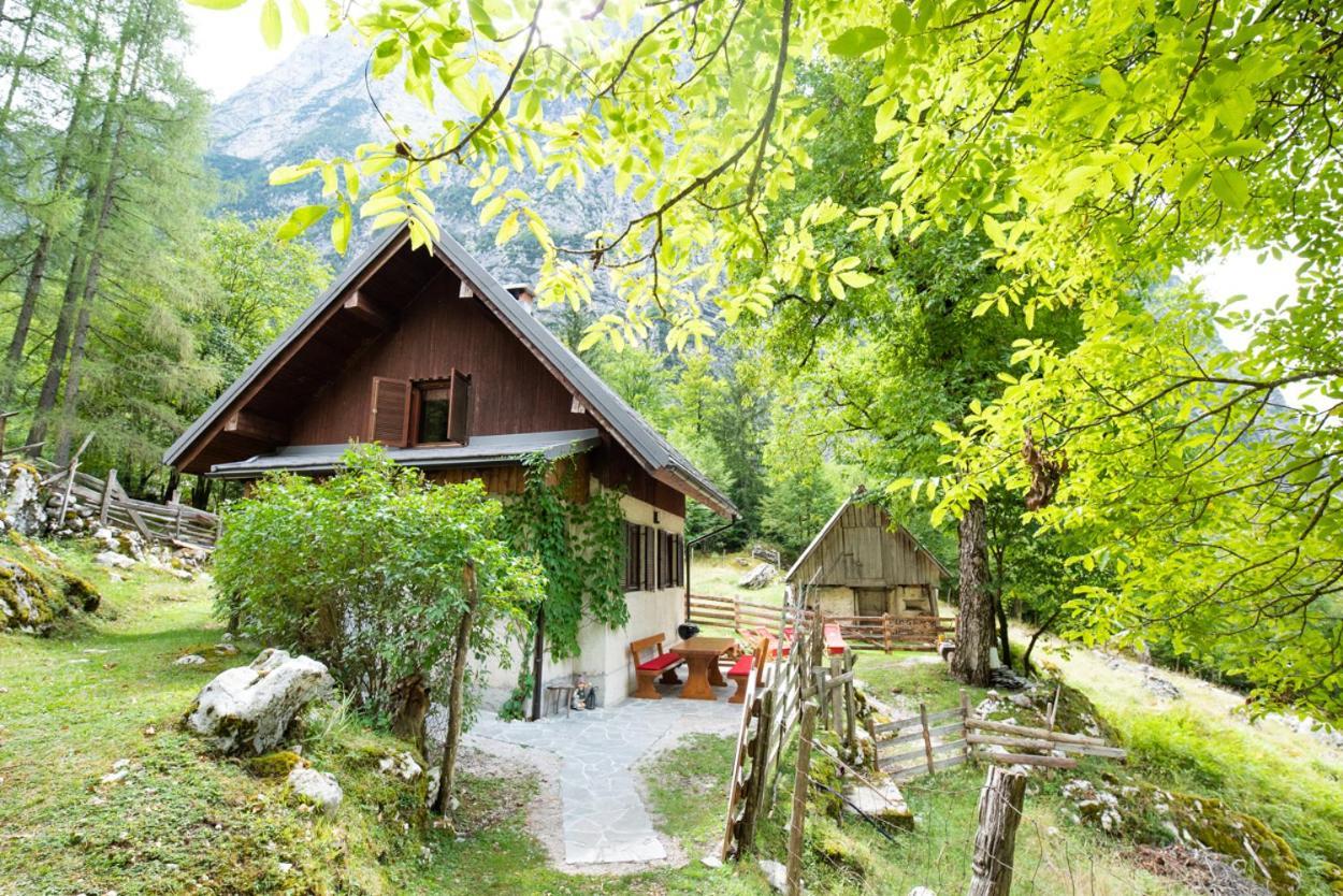 트렌타 Alpine House Antonia 빌라 외부 사진